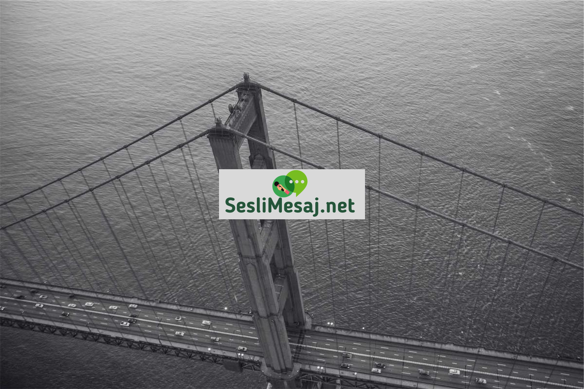 Felsefi Tartışmalarda Bilgi Teorisi Sohbeti: Hakikat