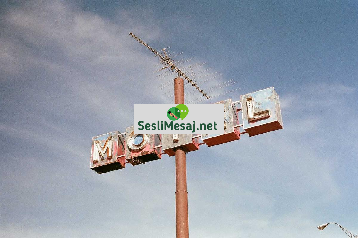 Felsefi Tartışmalarda Bilgi Teorisi Sohbeti: Hakikat