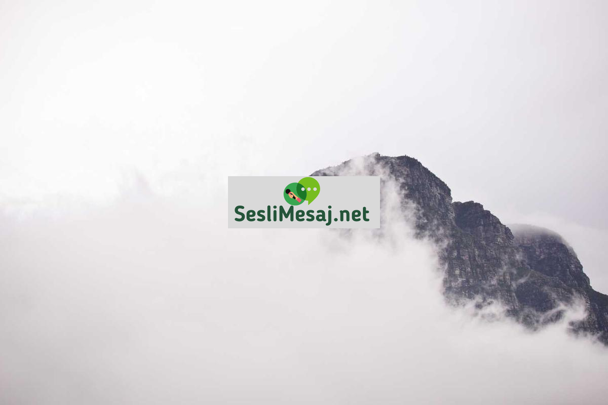 Felsefi Tartışmalarda Eleştirel Düşünme Sohbeti: Akıl Yürütme