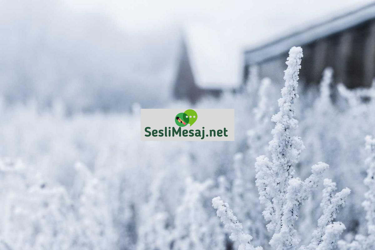 Felsefi Tartışmalarda Etik Kurallar Sohbeti: Saygı