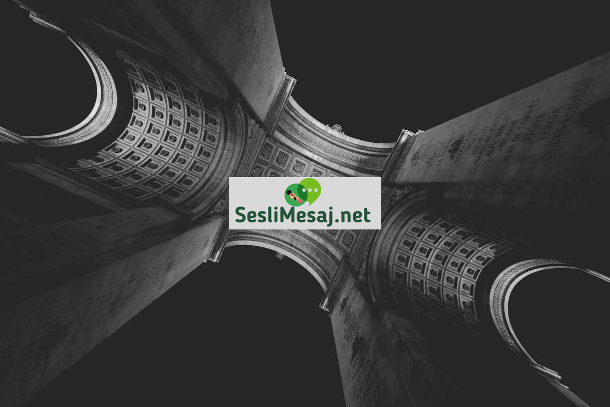 Felsefi Tartışmalarda Mantık Hataları Sohbeti: Eleştirel