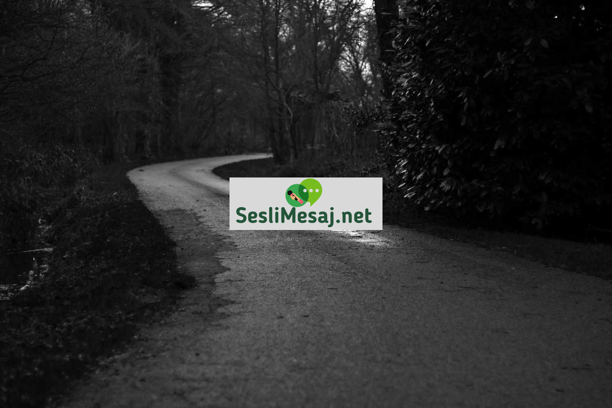 Film Eleştirisi ve İzleyici Beklentisi Sohbeti: Etki