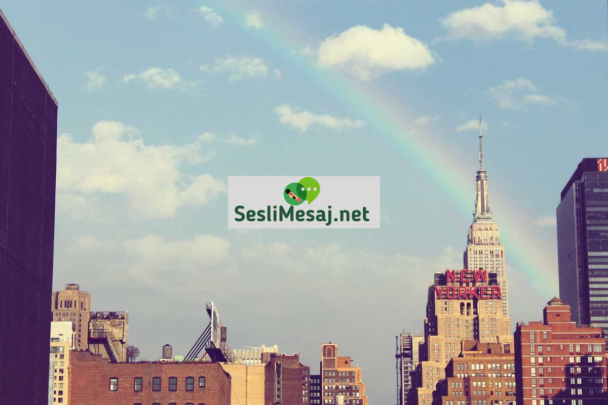 Film Yapım Ekibi Sohbeti: Rol ve Sorumluluklar