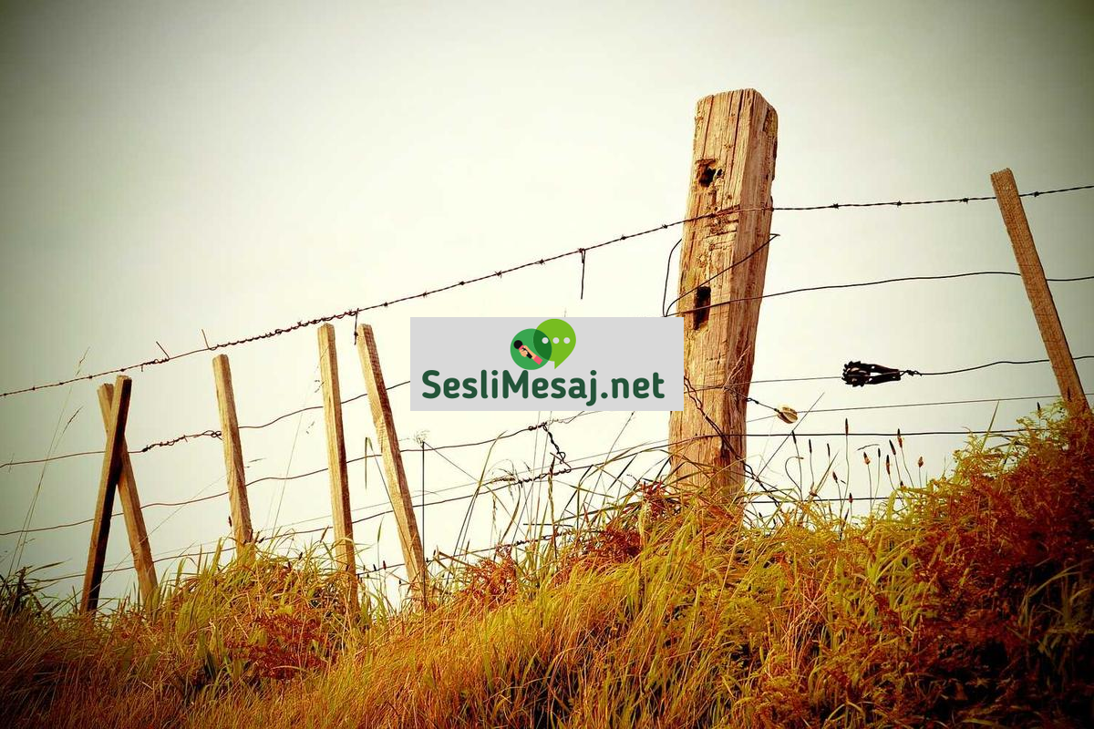 Finansal Hedef Belirleme Sohbeti: Kısa ve Uzun Vadeli Planlar