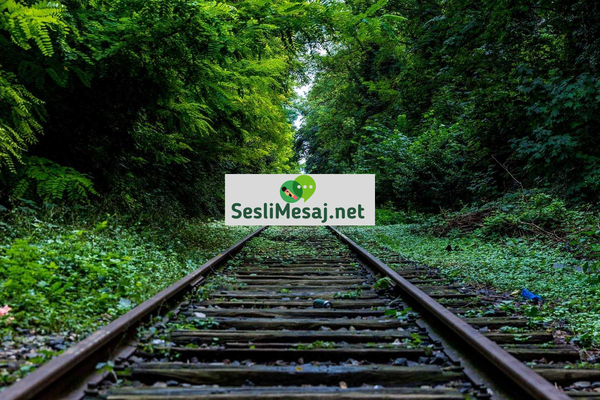 Finansal Okuryazarlık ve Yatırım Stratejileri Sohbeti: Bilinç