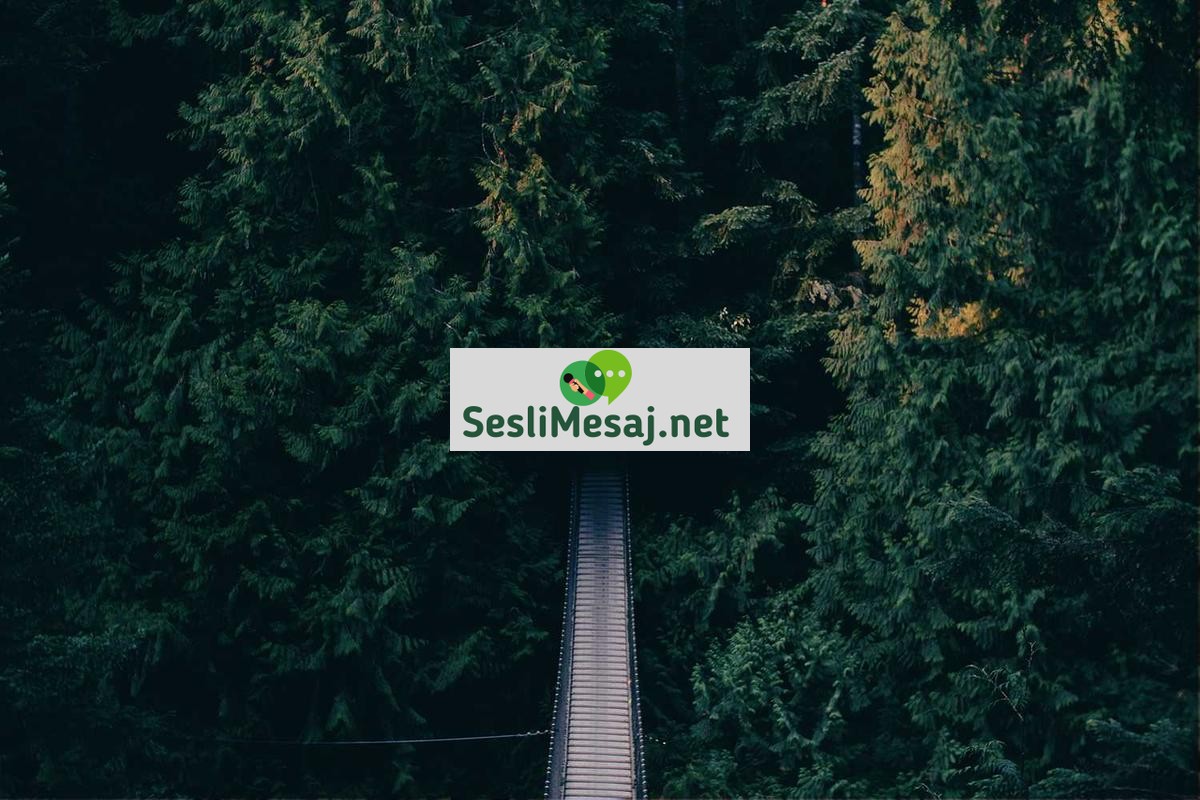 Finansal Okuryazarlık ve Yatırım Stratejileri Sohbeti: Bilinç