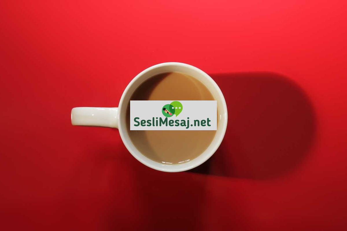 Finansal Okuryazarlık ve Yatırım Stratejileri Sohbeti: Bilinç