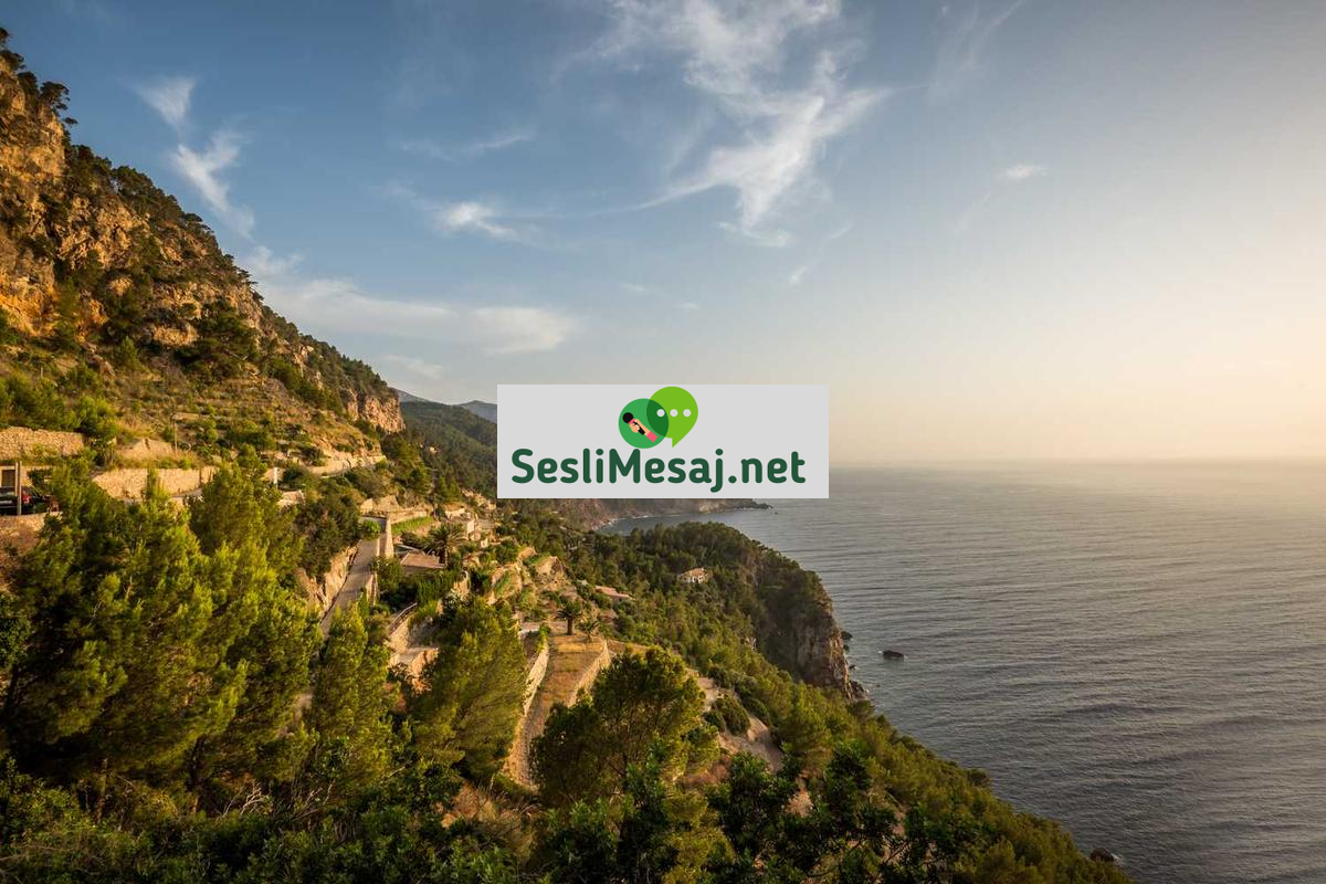 Finansal Planlama Yazılımları Sohbeti: Bütçe Takibi