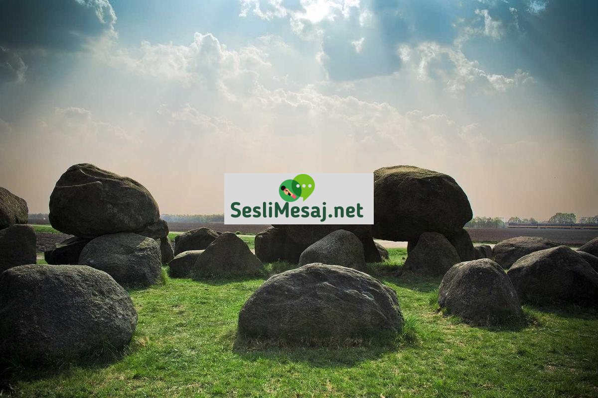 Finans Sohbet: Para Yönetimi ve Yatırım