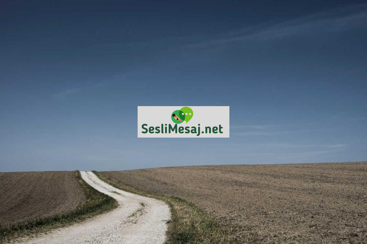 Flört Sohbeti: Güvenli ve Keyifli Flört Deneyimi İçin Adımlar