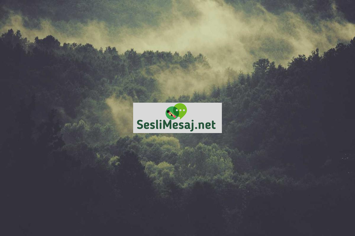 Freelance Sohbeti: Bağımsız Çalışmanın Zorlukları ve Avantajları