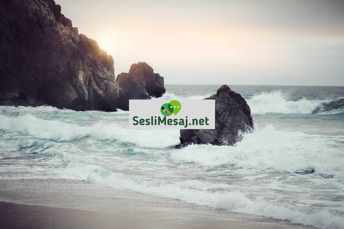 Gelecek Chat: Plan ve Hedef Belirleme