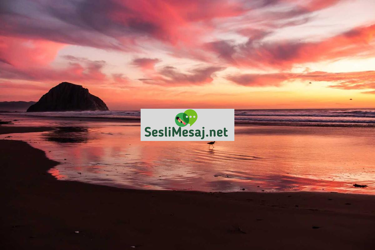 Gelecek Teknoloji Chat: Yapay Zeka ve Uzay İletişimi