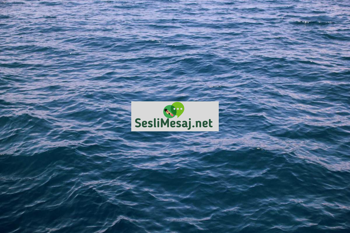 Gençlikte Kariyer ve Yaşam Planı Sohbeti: Hedef