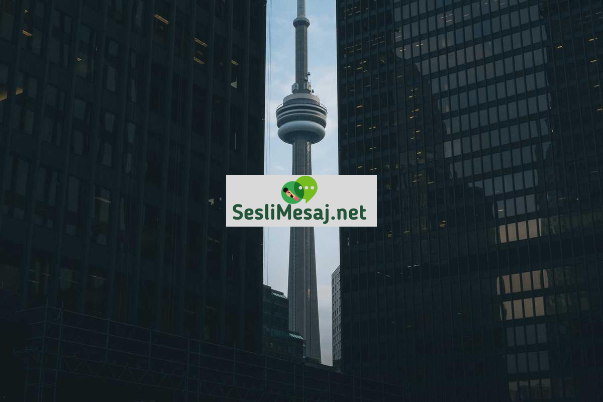 Gençlikte Kariyer ve Yaşam Planı Sohbeti: Hedef