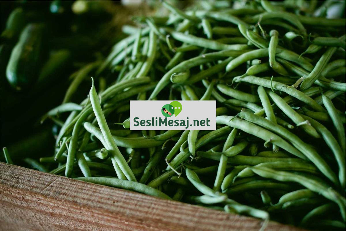 Gençlikte Kariyer Yolu Belirleme Sohbeti: Rehberlik