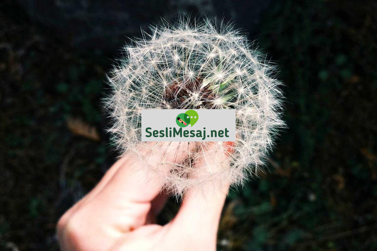 Gençlikte Kimlik Gelişimi Sohbeti: Zorluklar ve Destek