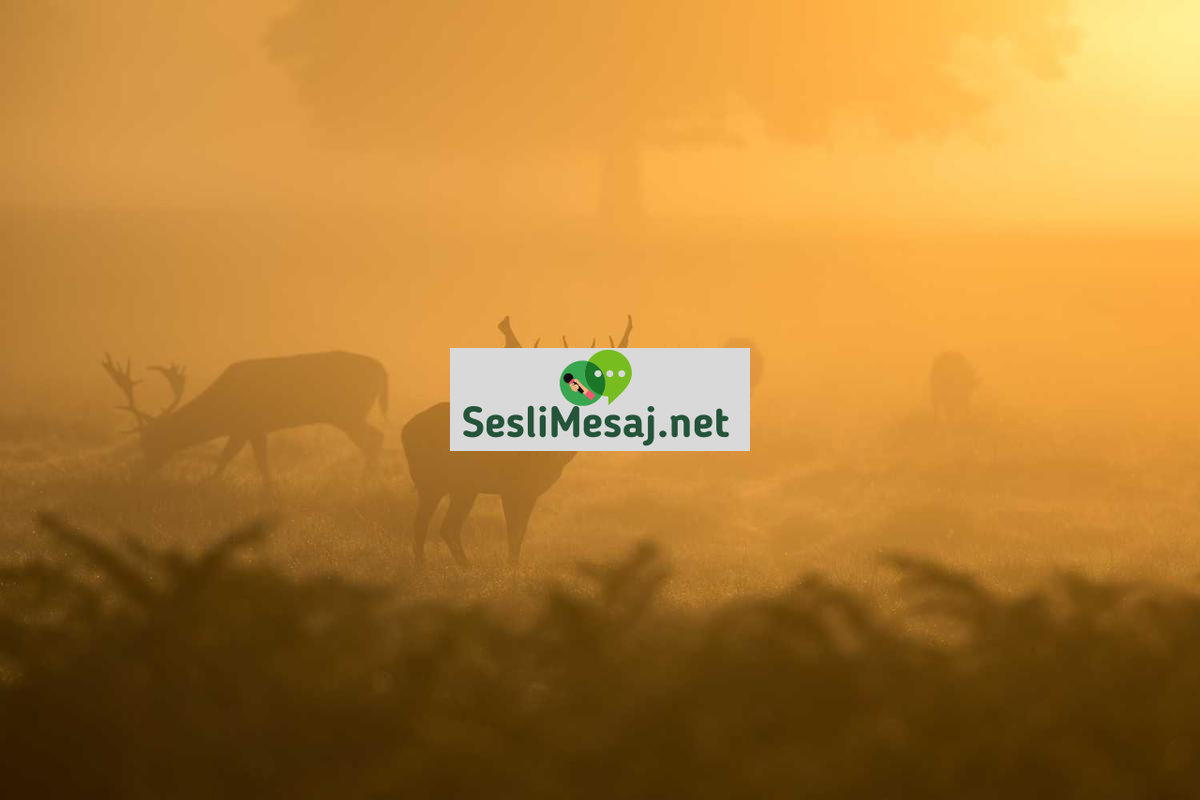 Genç Siyasetçiler Sohbeti: Yeni Nesil Liderler