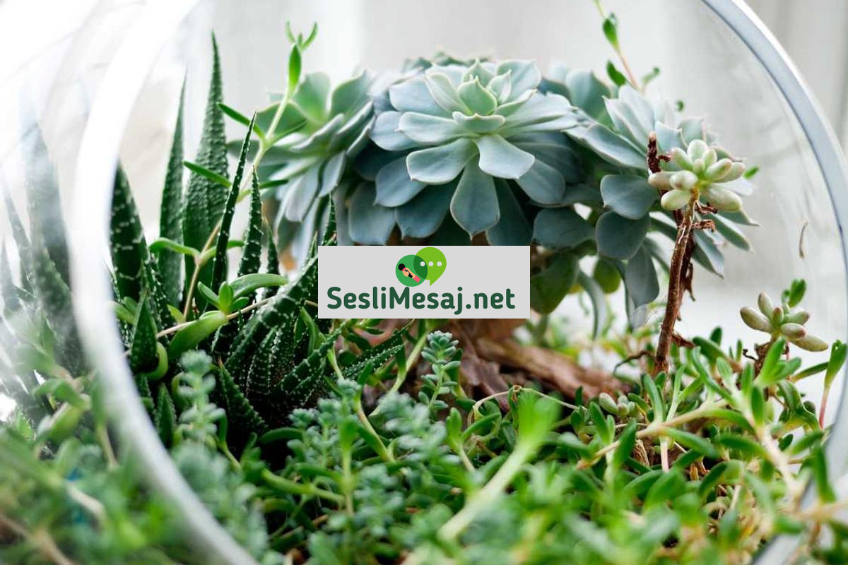 Geri Dönüşümlü Moda Sohbeti: Sürdürülebilir Giyim