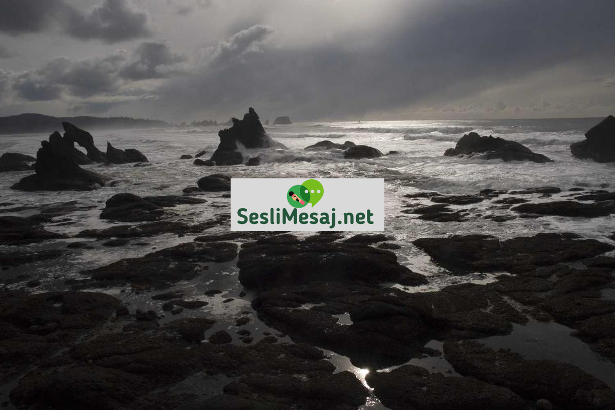 Geri Dönüşüm Sohbeti: Atık Yönetimi ve Çevre Bilinci