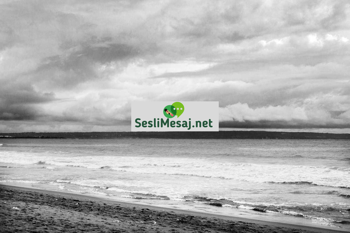 Girişimcilikte İş Fikri Geliştirme Sohbeti: Yaratıcılık