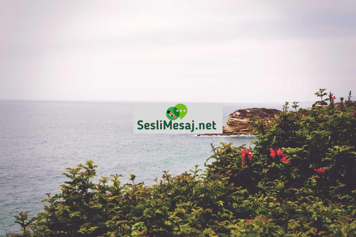 Girişimcilikte İş Fikri Geliştirme Sohbeti: Yaratıcılık