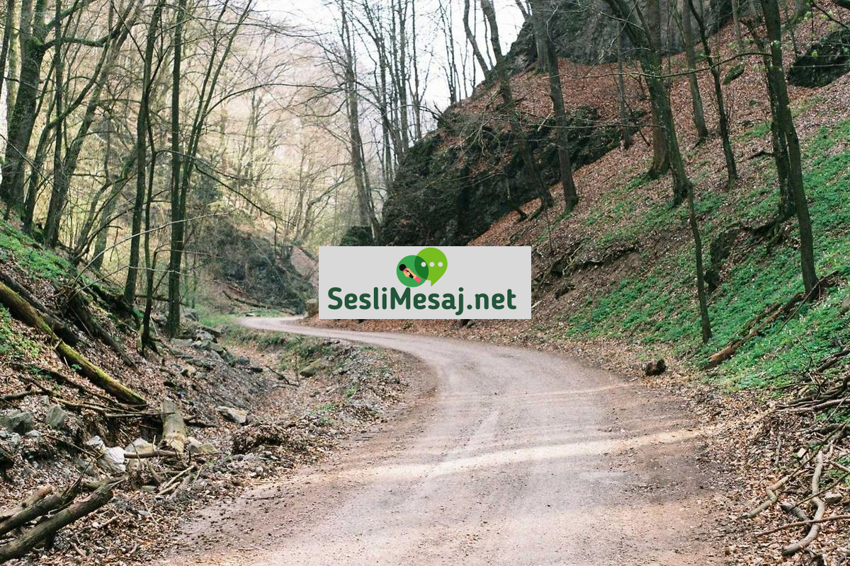 Girişimcilikte İş Planı Geliştirme Sohbeti: Strateji