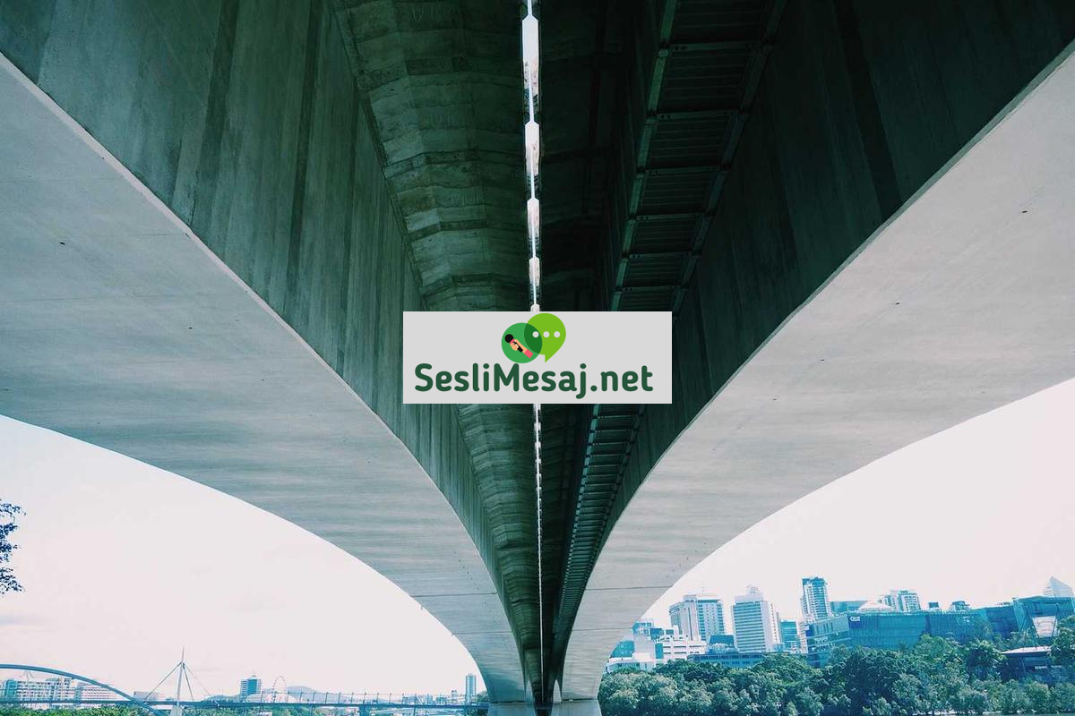 Göl Sohbet: Göl Çevresi Aktiviteleri ve Tatil