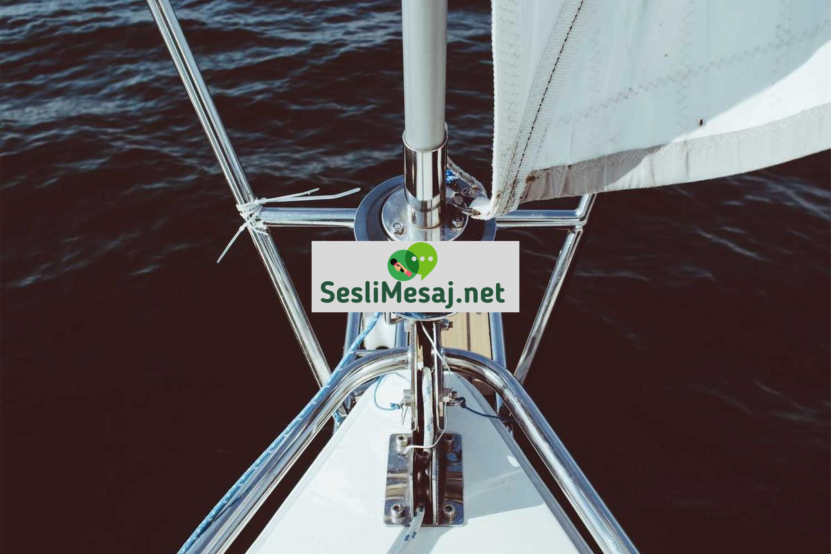 Güneş Enerjili Cihazlar Sohbeti: Ekolojik Ürünler