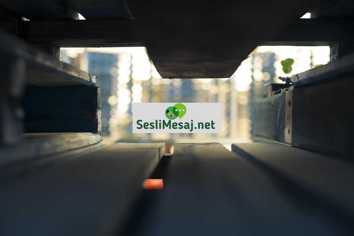 Güneş Sistemi Keşfi Sohbeti: Yeni Gezegen ve Uydular