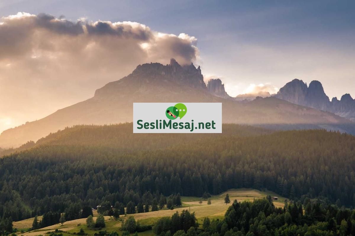 Görüntülü Randevu Sohbeti: Sanal Buluşmaların İncelikleri