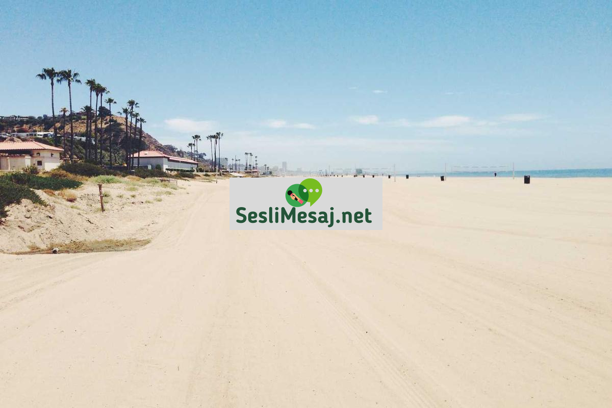 Görüntülü Randevu Sohbeti: Sanal Buluşmaların İncelikleri