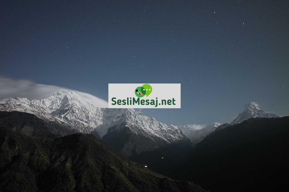 Grup Dinamikleri Sohbeti: Takım İçi İlişkiler