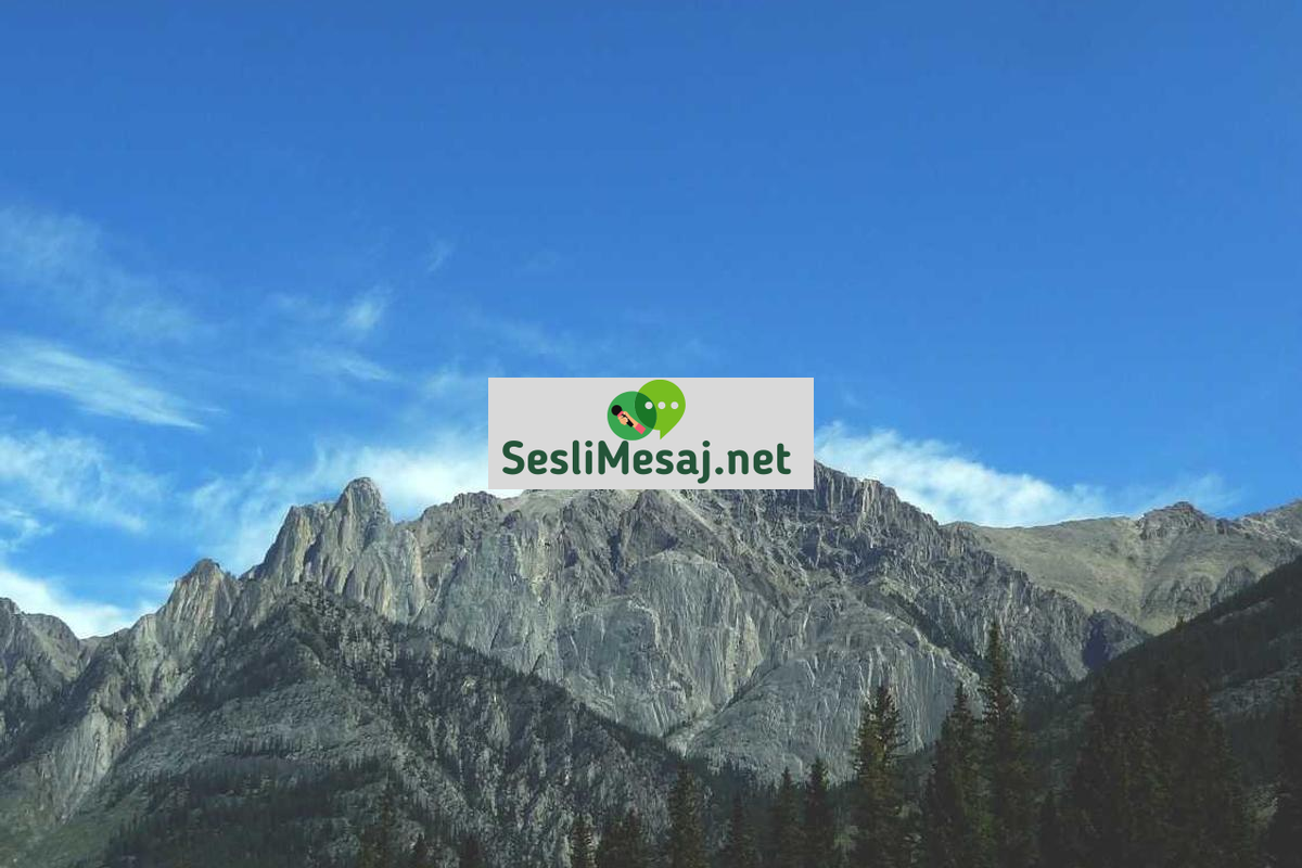 Grup Meditasyonları Sohbeti: Topluluk Desteği