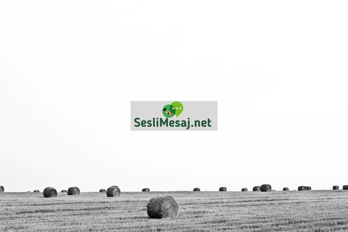 Grup Sohbeti: Çevrimiçi Topluluklarda Etkileşim Yönetimi