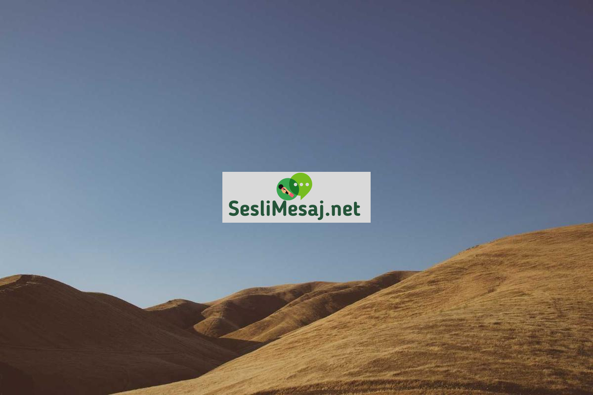 Halkla İlişkiler Kampanyaları Sohbeti: Başarılı Örnekler