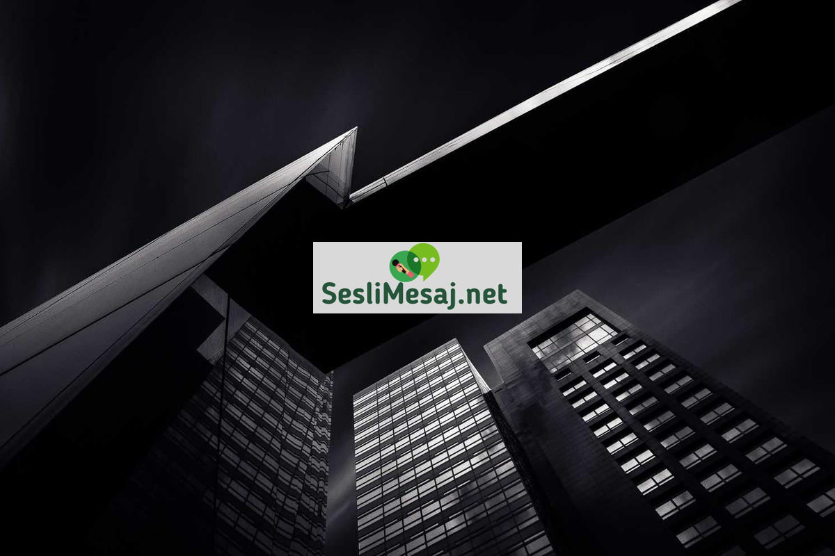 İş Hayatında Mentorluk Sohbeti: Gelişim ve Rehberlik