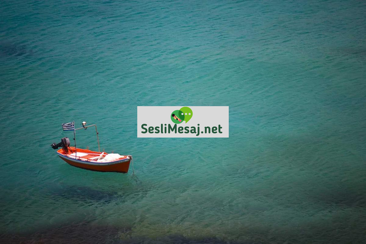 Hayvan Dostu Yaşam Sohbeti: Hayvanlarla Uyumlu Hayat