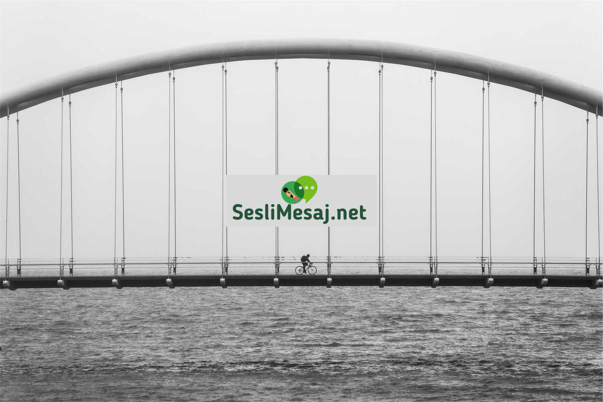 Hidrojen Yakıt Hücresi Sohbeti: Temiz Enerji Geleceği