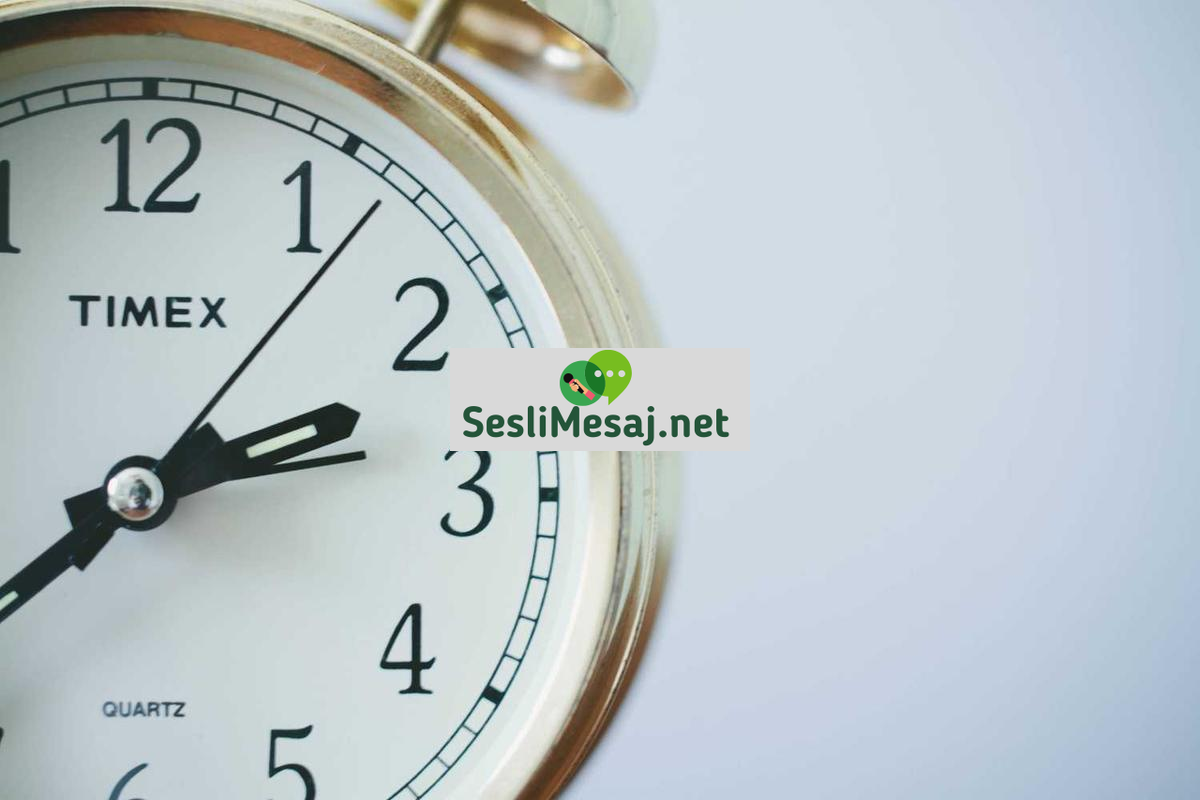 Hisse Senedi Analizi Sohbeti: Borsa Uzmanlarıyla İletişim