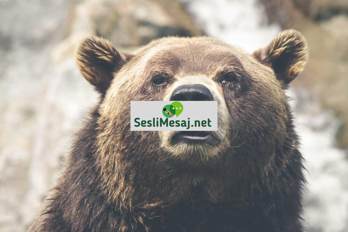 Hoş Geldin Chat: Yeni Üyelere Özel Karşılama Deneyimi