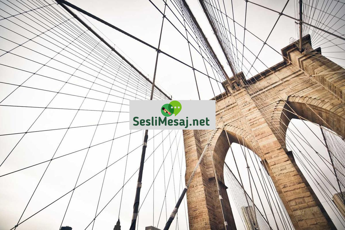 Holla Canlı Sohbet: Holla Platformunda Anlık Bağlantı