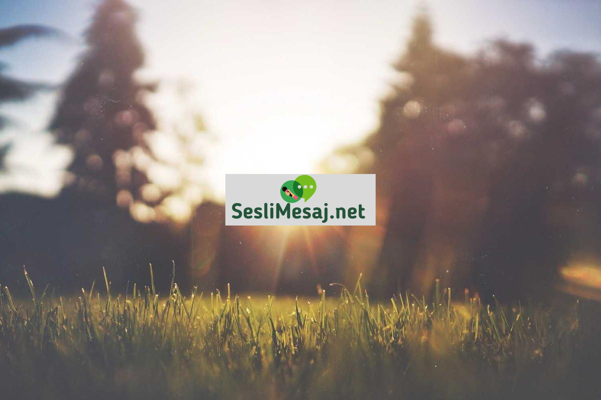 Hızlı Girişli Chat Siteleri: Kullanıcı Dostu Arayüzler