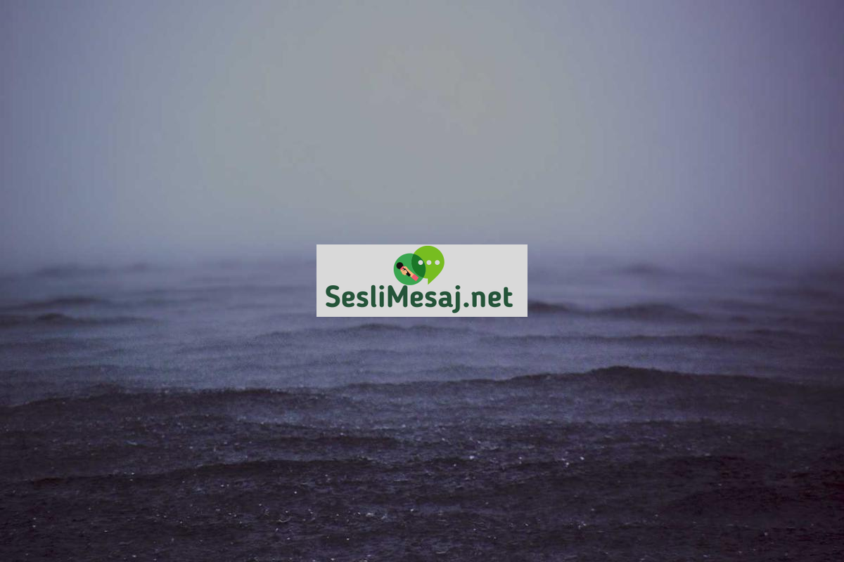 Influencer Sohbeti: Sosyal Medya Etkileyicileri Üzerine Tartışma