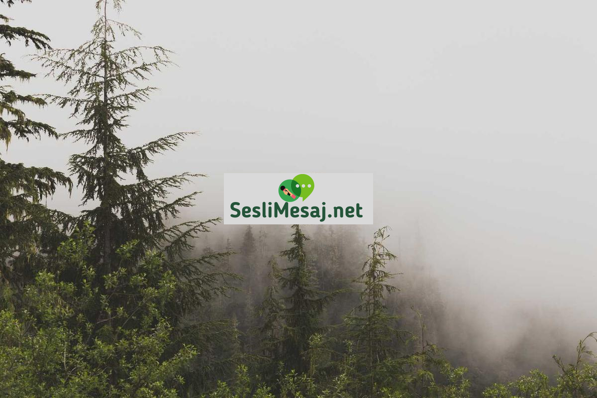 Kalp Sohbet: Duygusallık ve İçtenlik