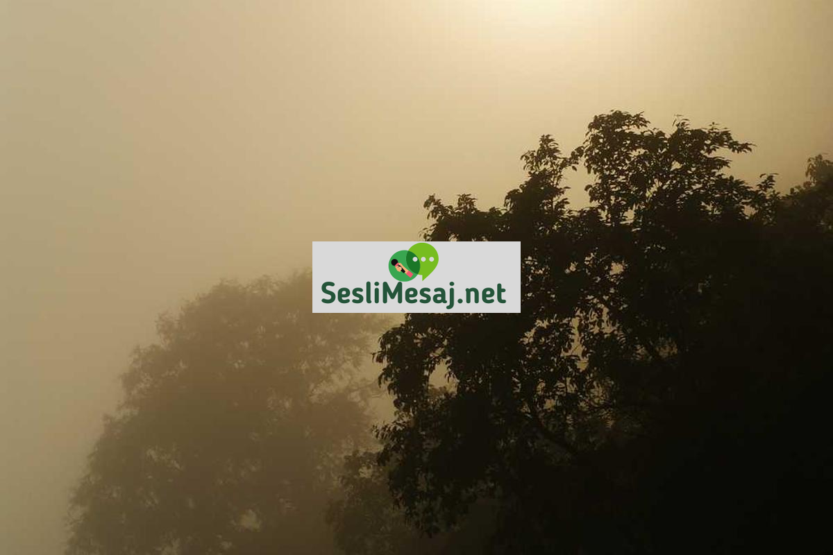 Kanada Sohbet: Kanada’daki Türk Topluluğuyla İletişim