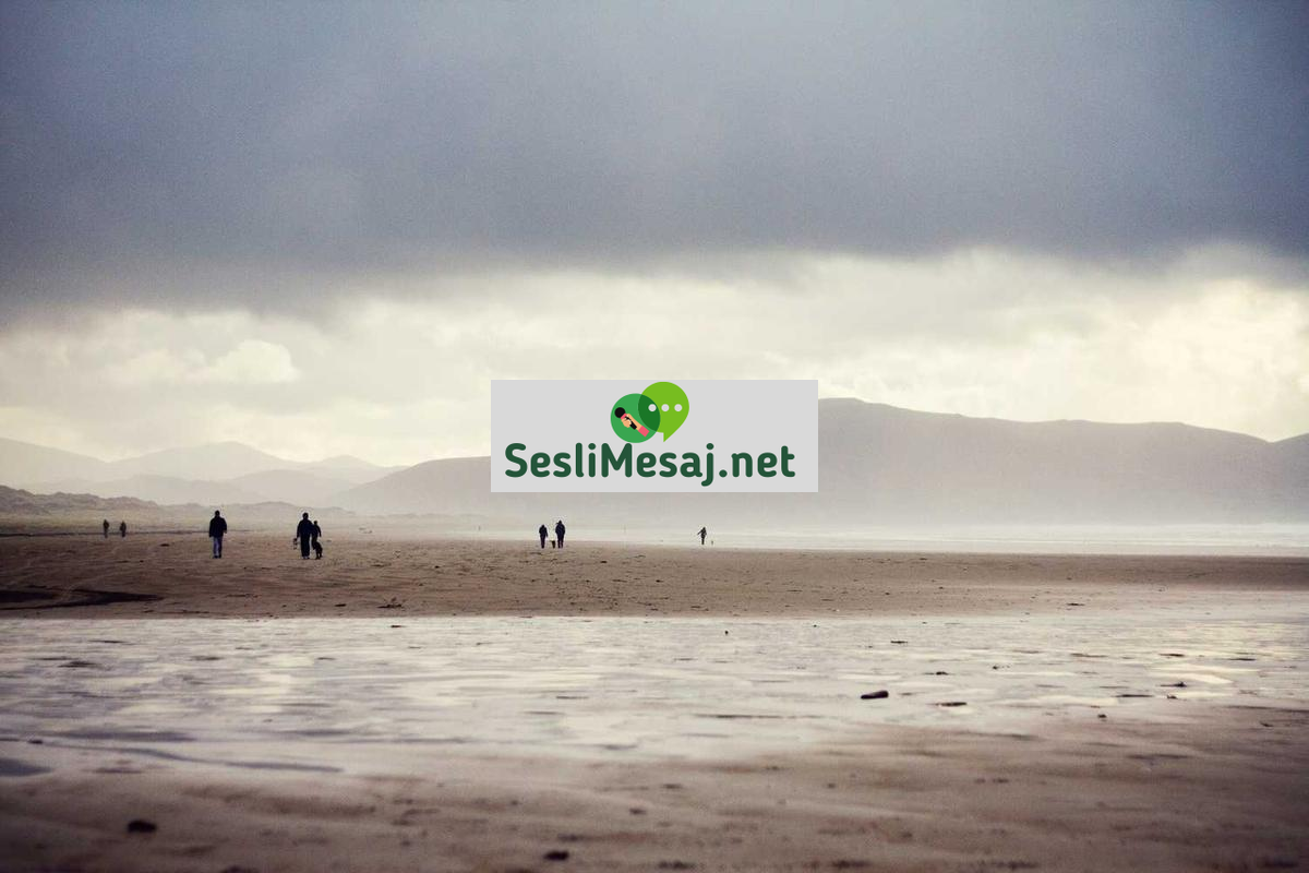 Kariyer Sohbet: Mesleki Hedefler ve Gelişim Yolları