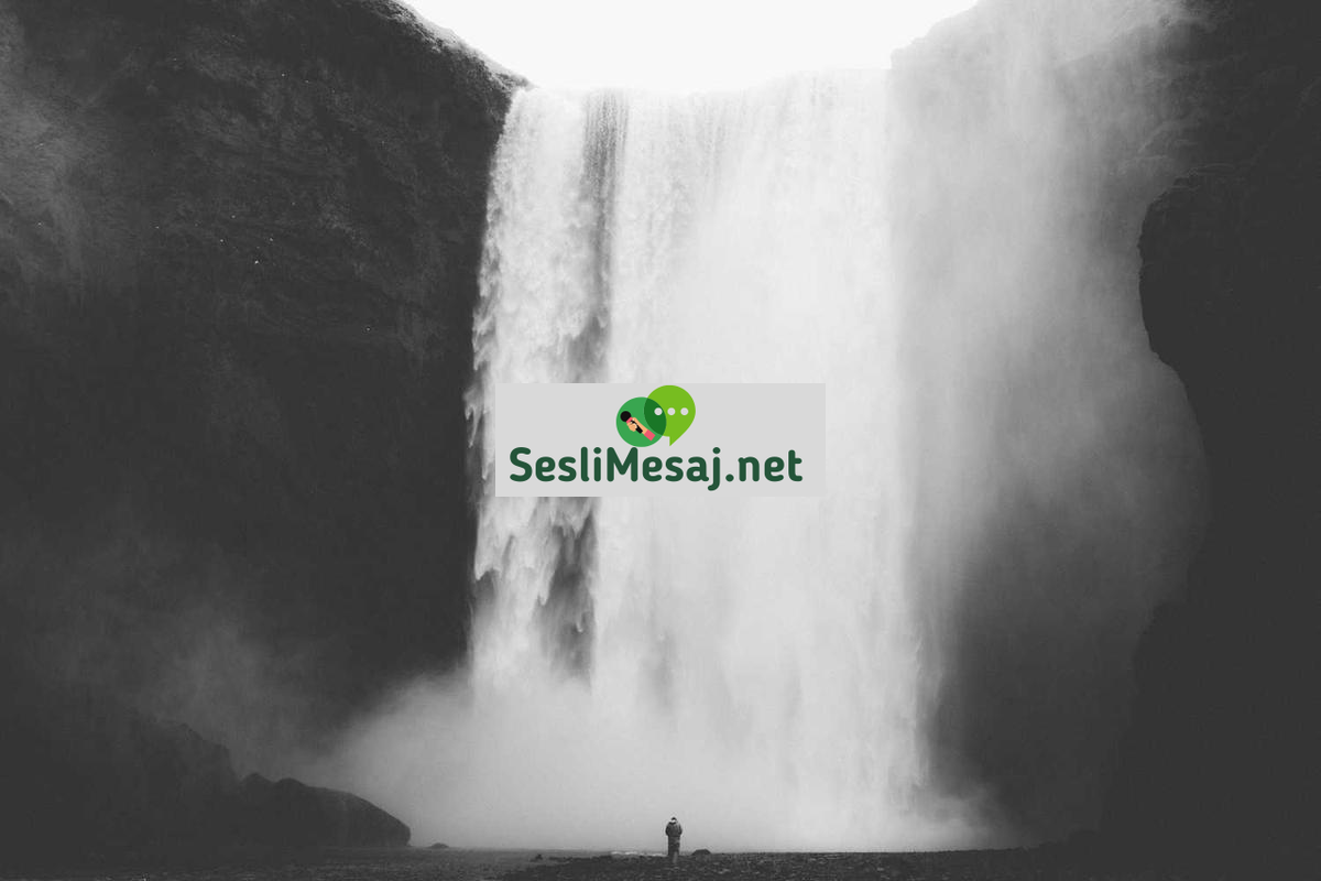 Kentsel Tarım Sohbeti: Şehirde Gıda Üretimi