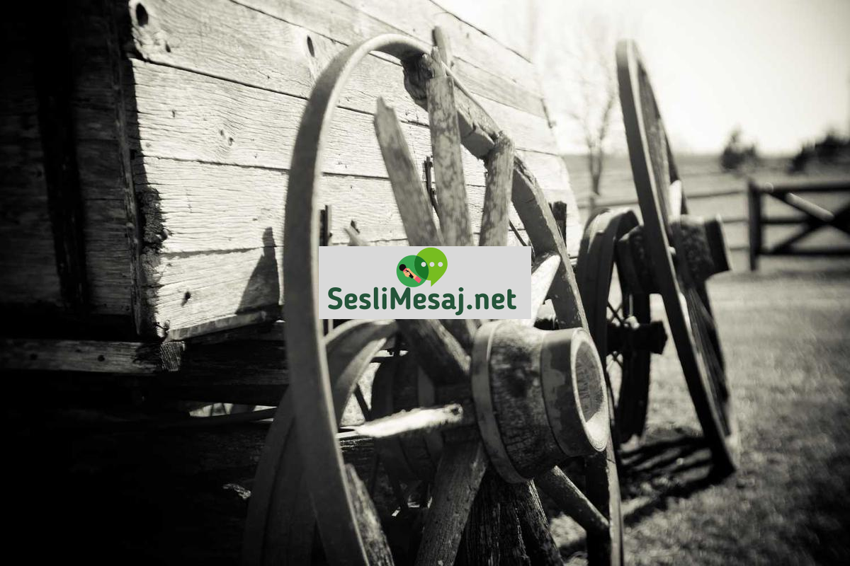 Kişisel Gelişimde Başarı İçin Alışkanlıklar Sohbeti: Rutin