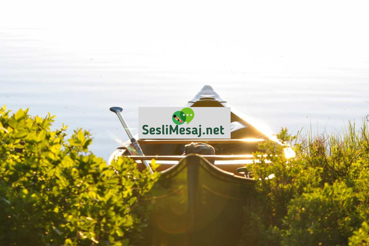 Kişisel Gelişimde Güçlü Yönler Sohbeti: Yetenekleri Keşfetme